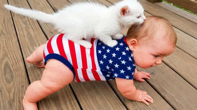Try Not To Laugh: Baby & Pets Funny Fails 🤣 Cute Animal Moments | Baby Bliss