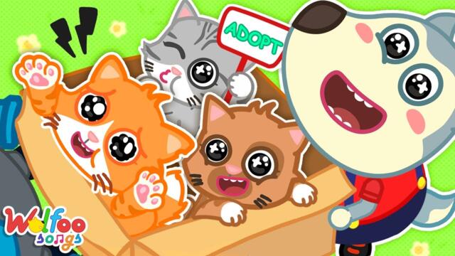 Kitty’s First Day in a New House 🏡🐱  | Wolfoo Song and Nursery Rhymes