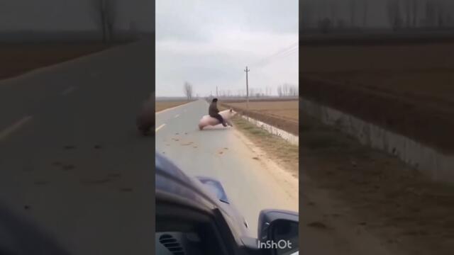 🔴😆 Вот вам и Юмор ч.4