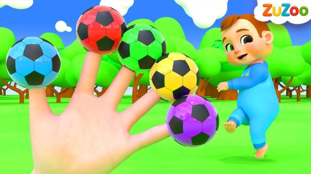 कलर बॉल फिंगर फ़ैमिली | Color Ball Finger Family | ZuZoo Hindi Rhymes