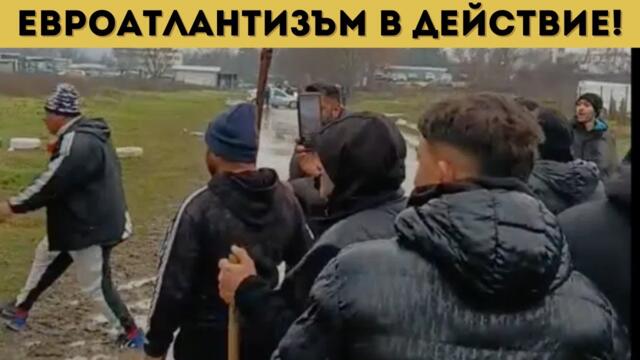 ЕКШЪН В ПЛЕВЕНСКО: РАЗМАХВАТ СЕ БРАДВИ И СОПИ!