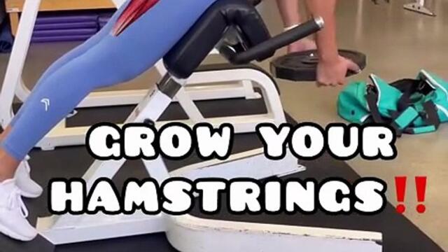 360° Lower Body Transformation - Ultimate Glute & Leg Routine