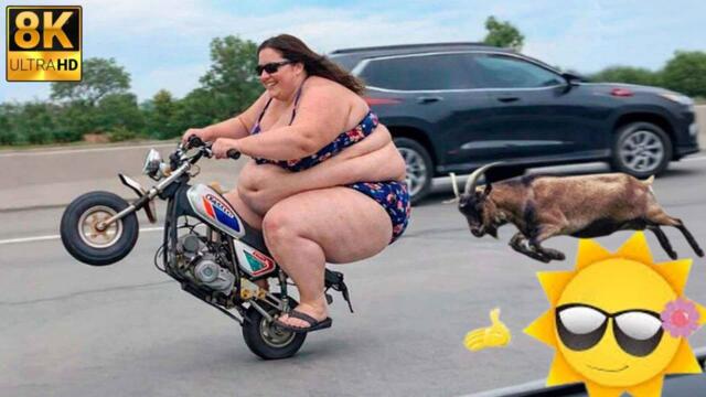 Try Not To Laugh 🤣 Top 100 Funniest Videos Ever 🎬🔥Memes, Epic Fails & Pranks Compilation ▶PART 13