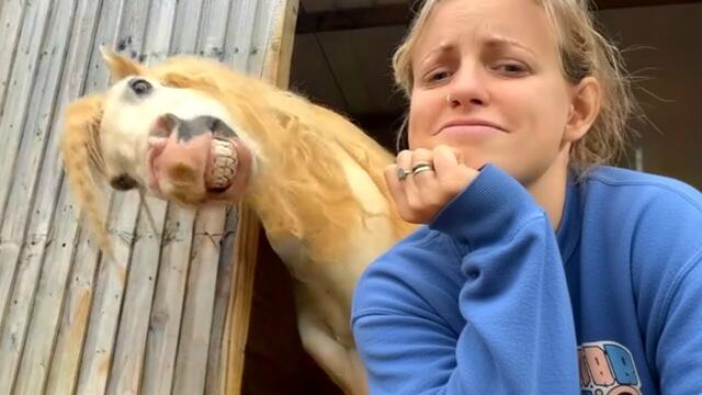 When God Sends You a Comedian Horse 😂 Funniest Horse Video 2026