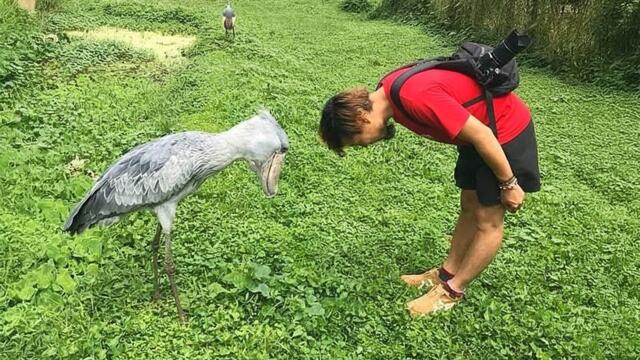 The Funniest ANIMALS of 2026 🤣 New UPDATE Funny Animal Videos