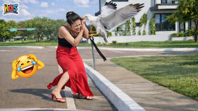 Try Not To Laugh 🤩 Top 100 Funniest Videos Ever 😏 | Funny Videos Compilation 2026 #30