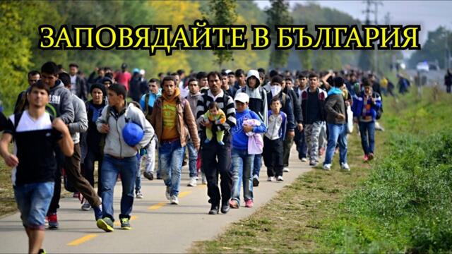ПРАВИТЕЛСТВОТО НА БОРИСОВ-ПЕЕВСКИ ОТВОРИ ГРАНИЦИТЕ ЗА ИМИГРАНТИ!