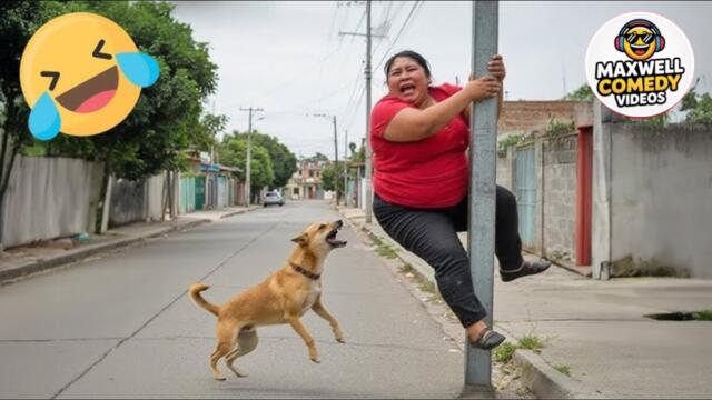 Try Not To Laugh 😂 | Funniest People Fails Ever | LIVE