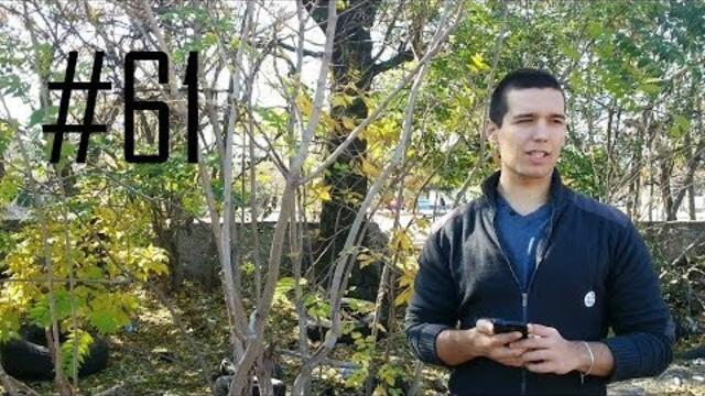 Влог №61 - Въпроси и Отговори #18