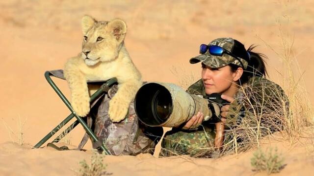 When Animals Completely Surprised Photographers 😂 Funniest Animals and Humans