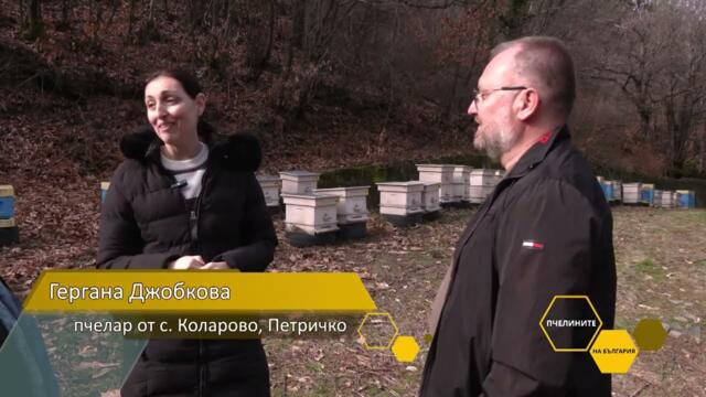 Пчелините на България: В Петричко, в пчелините на Велик и Гергана Джобкови