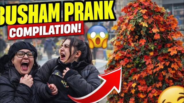 Bushman prank: When the bush starts moving, it’s over 💀😂”#bushmanprank #funny #viral