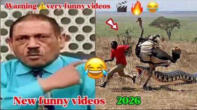 Extreme funny videos try not to laugh, part 126
