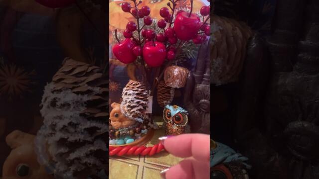 С 17.02.-по 03.03.2026 Кармический Коридор,Лунное затмение,Полнолуние и Парад Планет#таро