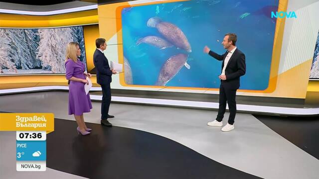 Сняг в началото на Седмицата на любовта и виното