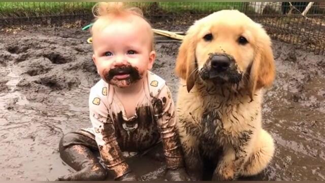 PURE CHAOS! 😂 Funny Pet vs Baby Moments That Went Too Far