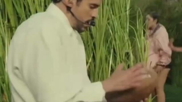 Bad Bunny lists all countries in "America."