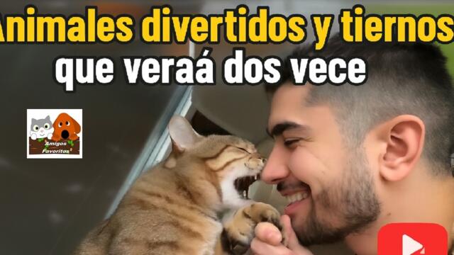 Animales divertidos y tiernos que verás dos veces