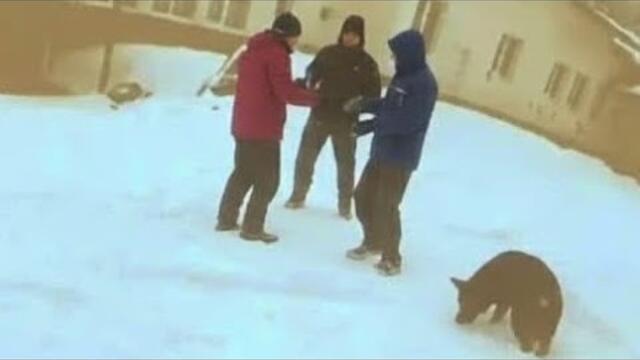 Видео от “Петрохан” / Убийството