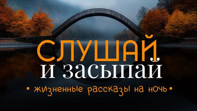 Этот голос точно убаюкает любого. Сборник душевных историй на ночь
