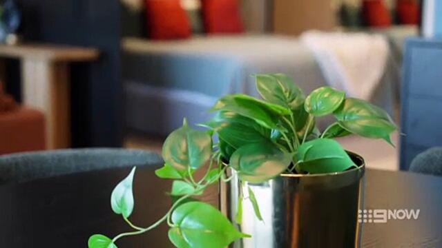 Married at First Sight (AU) S13E10