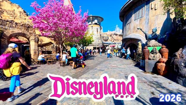 Exploring Disneyland Park | Full Walkthrough, Dumbo the Flying Elephant, & Mickey Mouse and Friends!