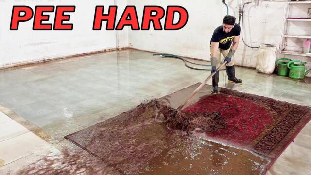 Pee Hard: Pee Soaked Rug Cleaning with a Vengeance! Satisfying ASMR Carpet Cleaning