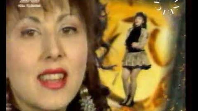 Весела Минчева - Като птица под небето