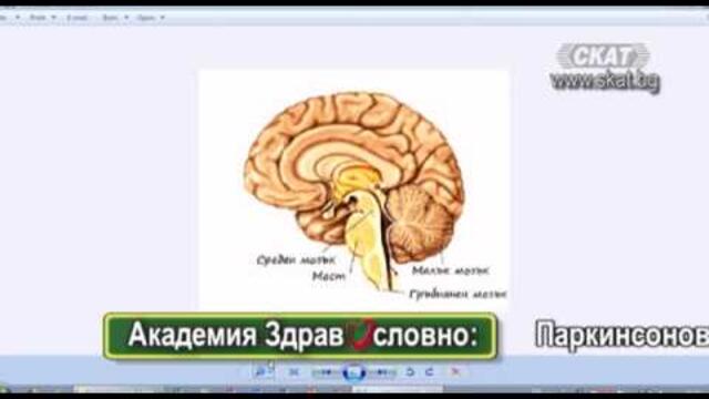 Академия "Здравословно": Паркинсонова болест
