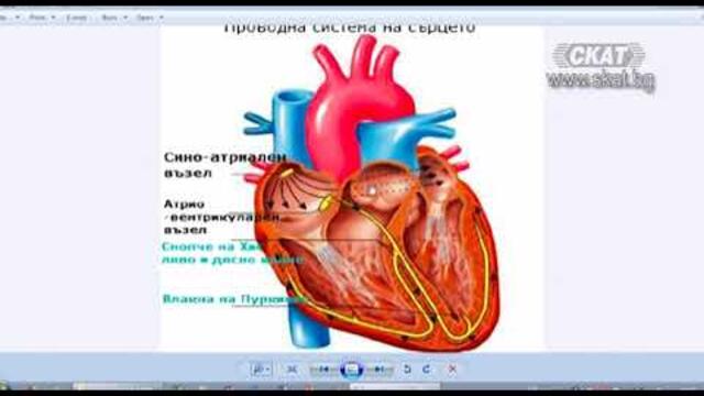 Академия "Здравословно": Сърдечни бедрени блокове