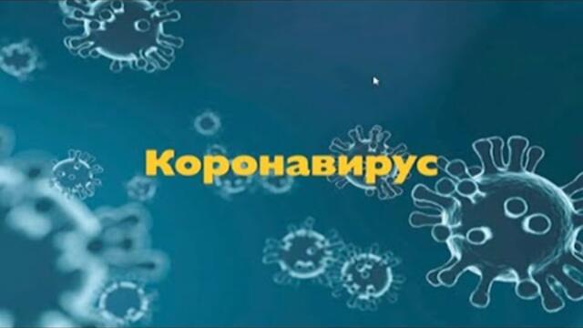 Академия "Здравословно": Корона вирус - въпроси отговори