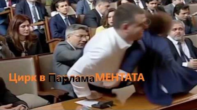 Циркове в Парламента
