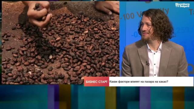 Свръхпредлагане и рецепти с по-малко какао: защо се срина борсовата цена