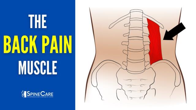 Release THIS Muscle to Fix Your Lower Back Pain