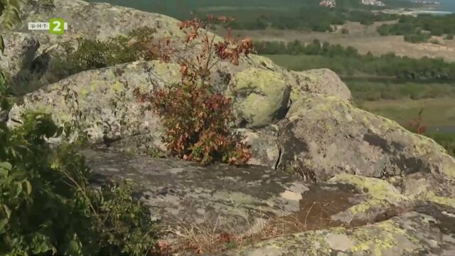 Лъвът на Вълчан, Олтарите на България - 21.02.2026