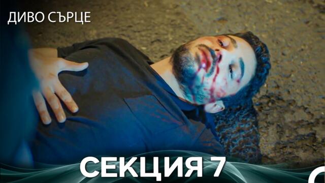 Диво Сърце Епизод 7 (Български дублаж)