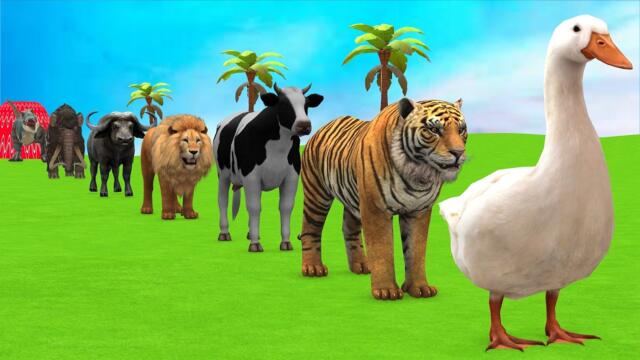 Long Slide Game with Cow Elephant Gorilla Hippopotamus Tiger 3d Animal Game Funny 3d Animals