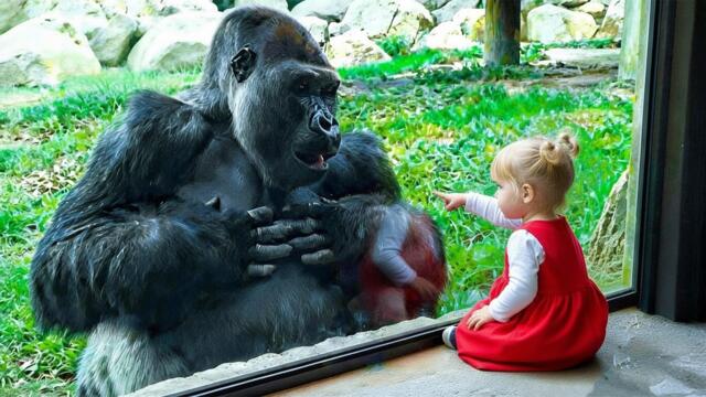 Wild Animals Reacting to Babies in the Funniest Ways! 😂 Funny ANIMALS Video 2026