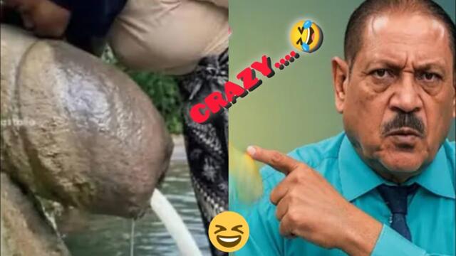 "So Funny You’ll Forget What You Were Doing!" 😂 Part 22▶️