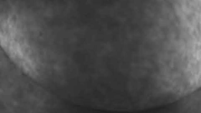 Live Camera Axis P3245-VE