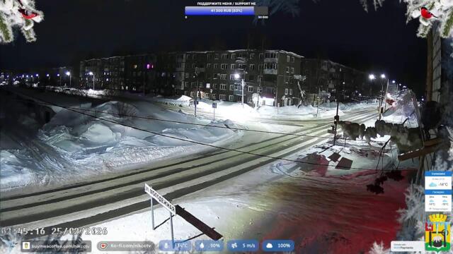Камера Соликамск (Боровск), Россия, Пермский край / Сamera Solikamsk, Russia, feeder and AI Chatbot