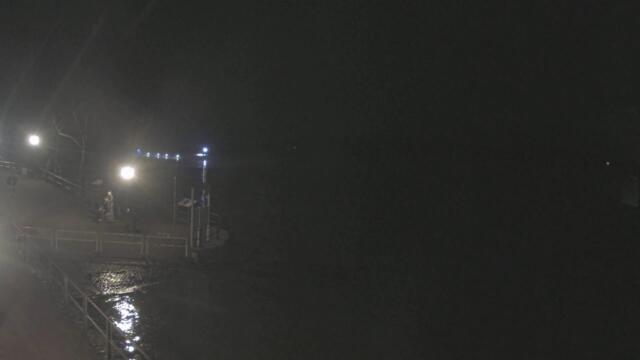 Live Rhein bei Rees, rheinaufwärts Richtung Wesel