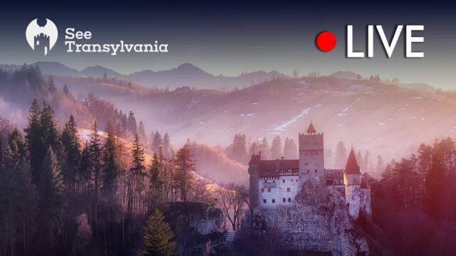 Castelul Bran - Dracula's Castle - Casa din Bran 🔴 Live Webcam