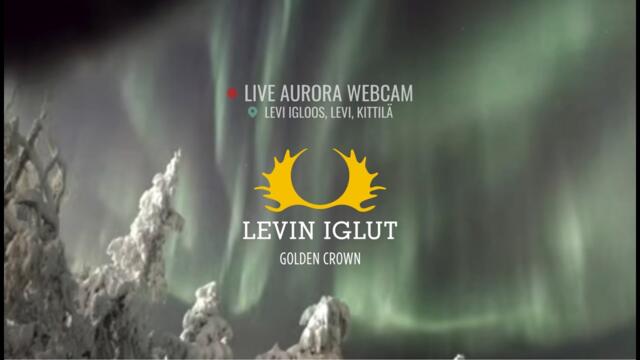 Northern Lights Live Camera at Levi Igloos #northernlights #auroraborealis #lapland