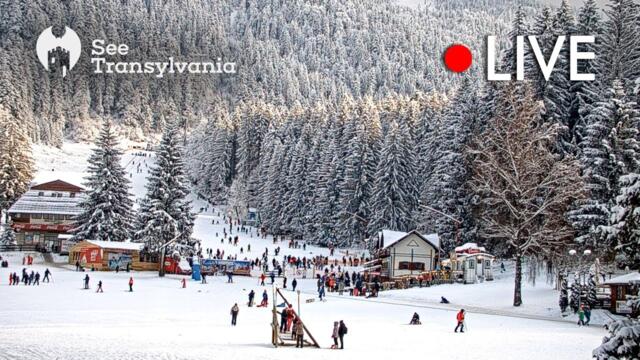 Ka-Ma Sport 🔴 Poiana Brasov Live Webcam - Partia Bradul
