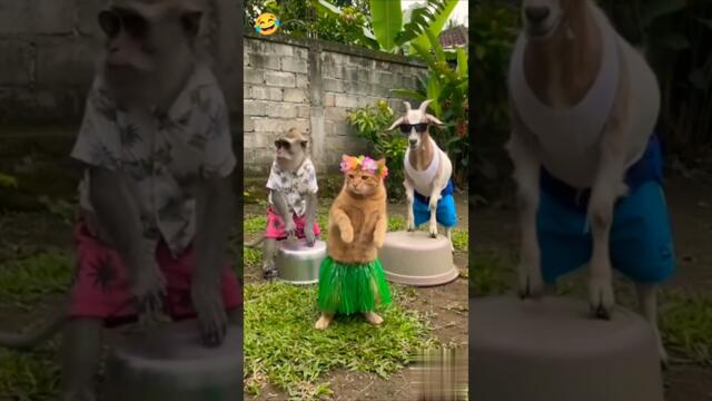 O h my god digital animals 😱🤣😁 #funny #shortvideo #viralvideo