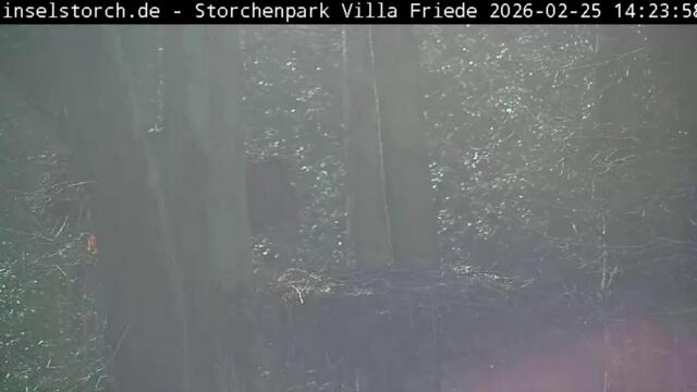 Storchenpark in Wyk auf Föhr