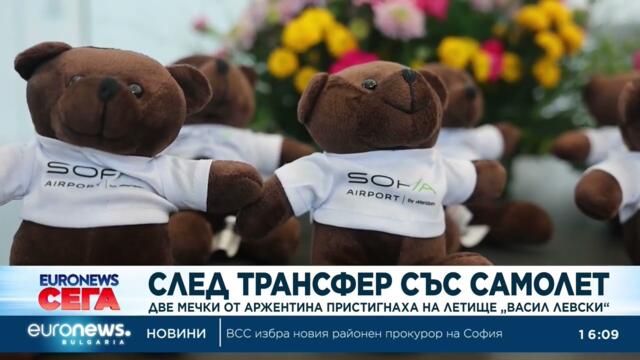 След трансфер със самолет: Две аржентински мечки пристигнаха в България