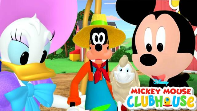 Mickey Mouse Clubhouse🏠 - Goofy's HotDog Harvest🌭 | Lady Moo Moo Jingle🔔 | Daisy Lose Sheep@disneyjr
