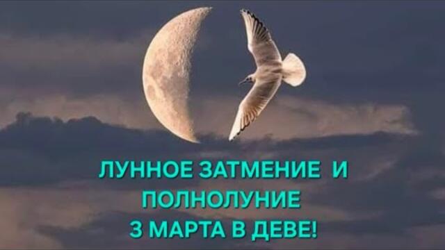 ЛУННОЕ ЗАТМЕНИЕ И ПОЛНОЛУНИЕ 3 МАРТА 2026 ГОДА В ДЕВЕ! ТАРО-ПРОГНОЗ ДЛЯ ВСЕХ ЗНАКОВ ЗОДИАКА! ✨️